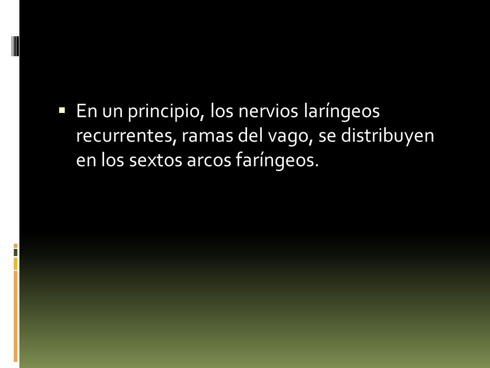 En un principio, los nervios laríngeos recurrentes, ramas del vago, se distribuyen en los sextos arcos faríngeos.