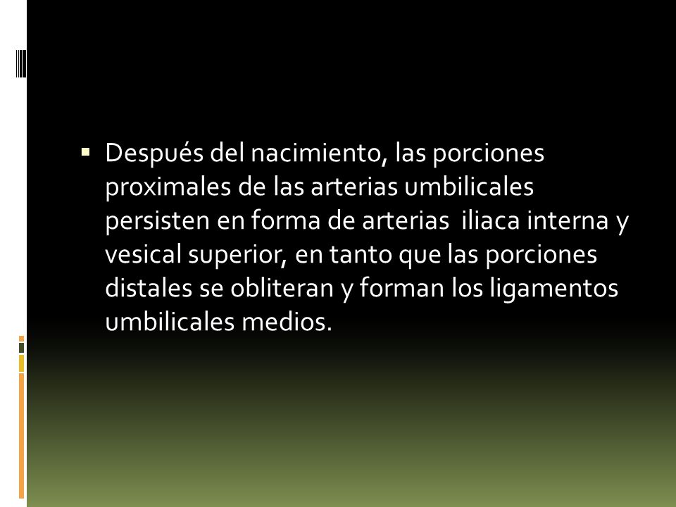 Después del nacimiento, las porciones proximales de las arterias umbilicales persisten en forma de arterias iliaca interna y vesical superior, en tanto que las porciones distales se obliteran y forman los ligamentos umbilicales medios.