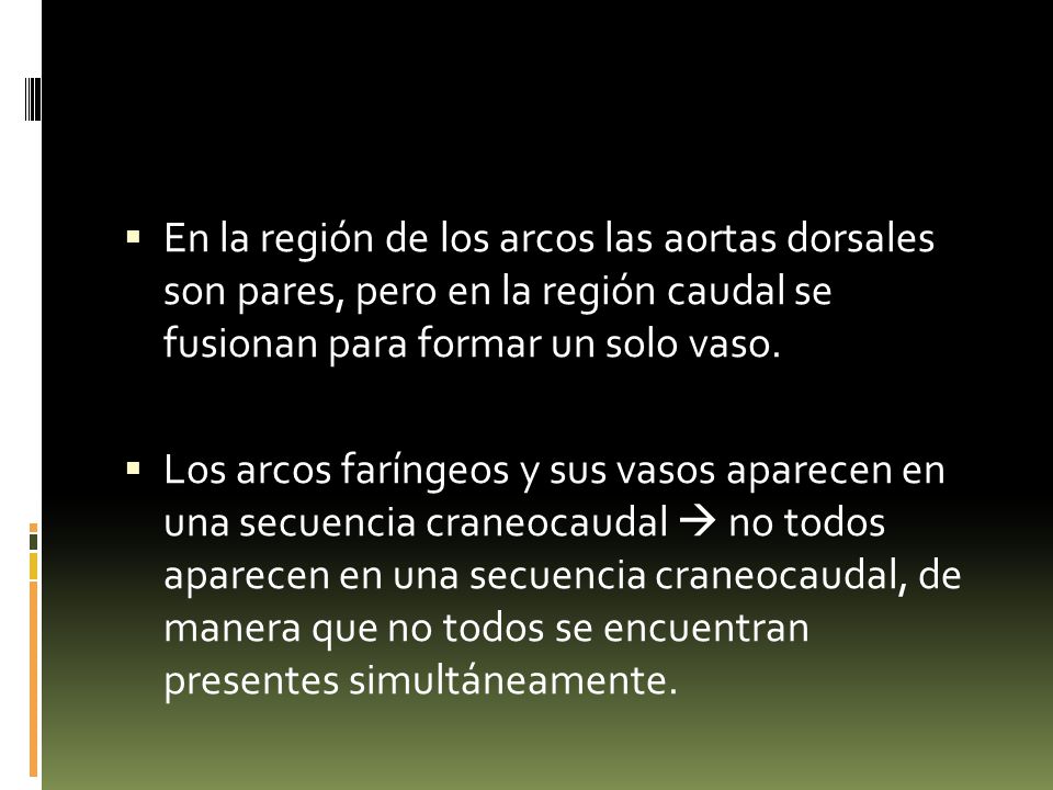 En la región de los arcos las aortas dorsales son pares, pero en la región caudal se fusionan para formar un solo vaso.