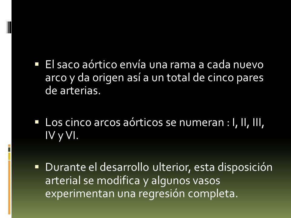 El saco aórtico envía una rama a cada nuevo arco y da origen así a un total de cinco pares de arterias.