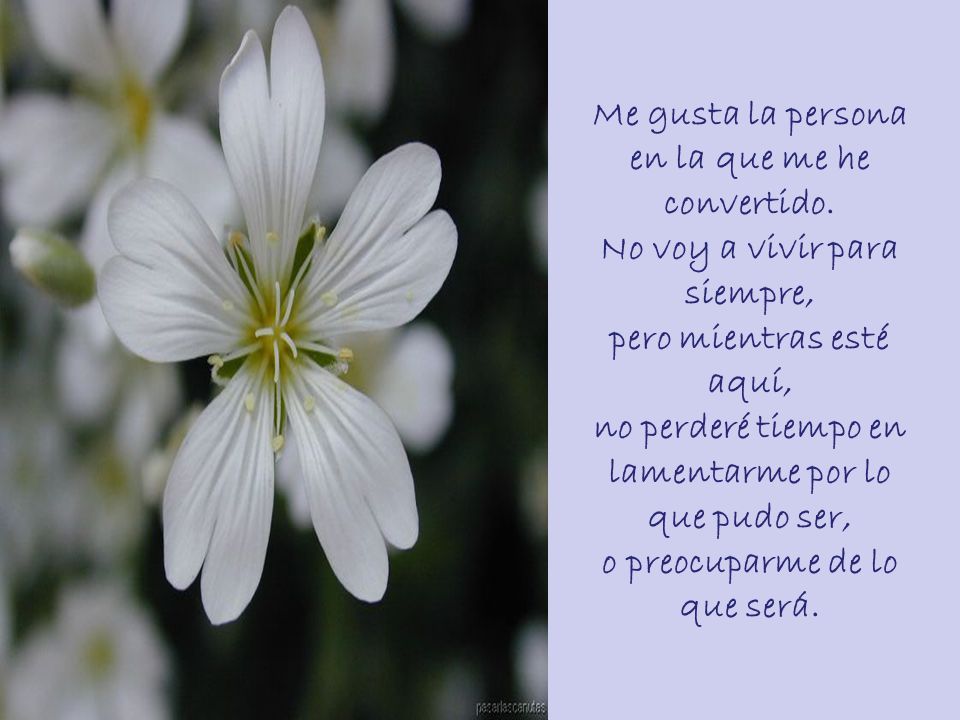 Me gusta la persona en la que me he convertido.