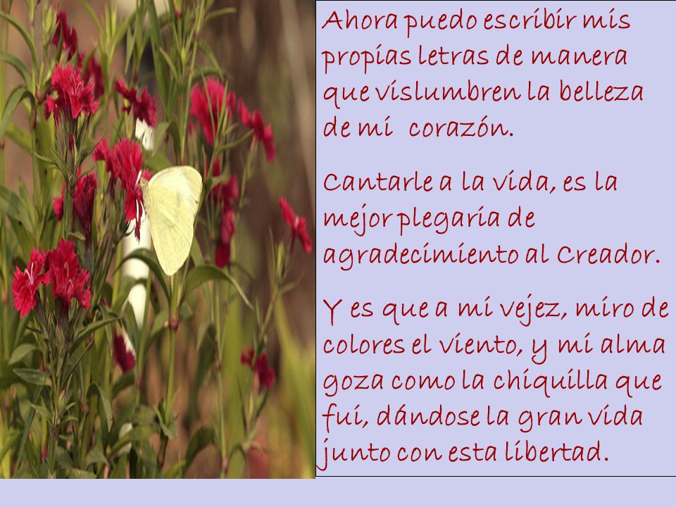 Ahora puedo escribir mis propias letras de manera que vislumbren la belleza de mi corazón.