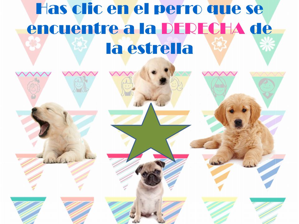 Has clic en el perro que se encuentre a la DERECHA de la estrella