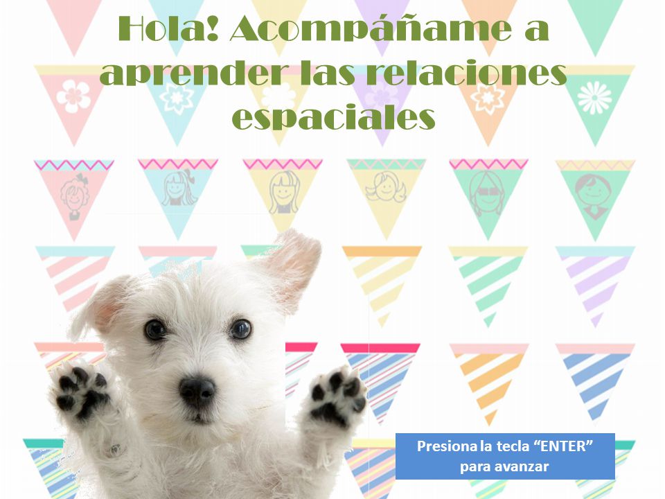 Hola! Acompáñame a aprender las relaciones espaciales