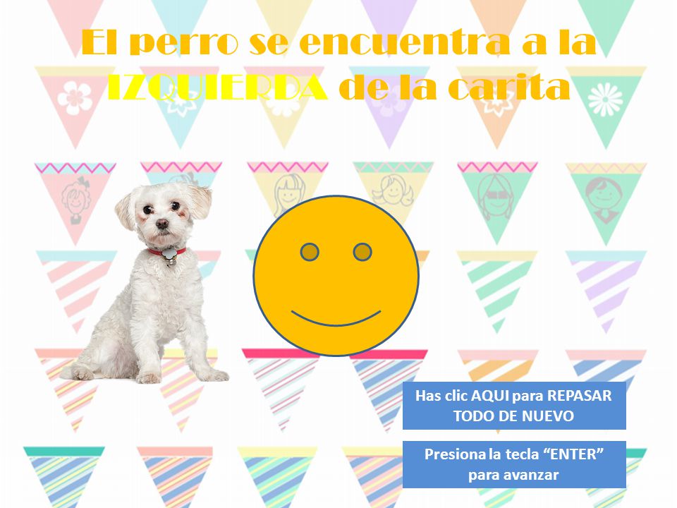 El perro se encuentra a la IZQUIERDA de la carita