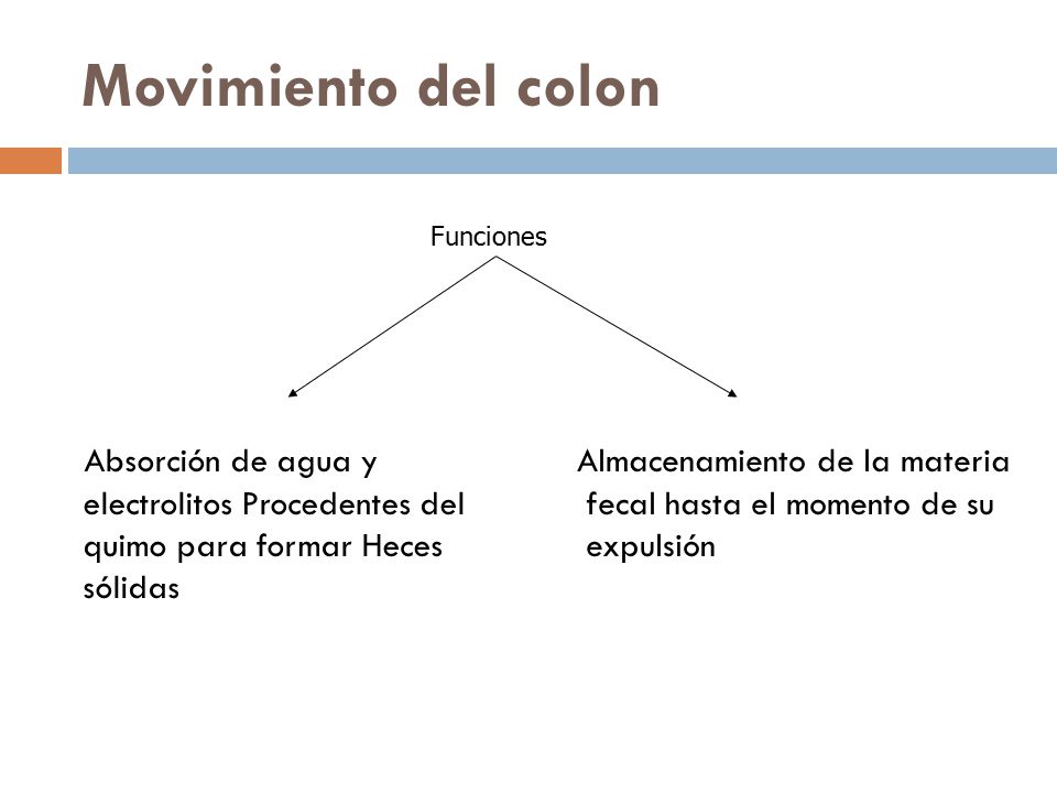 Movimiento del colon Funciones. Absorción de agua y electrolitos Procedentes del quimo para formar Heces sólidas.