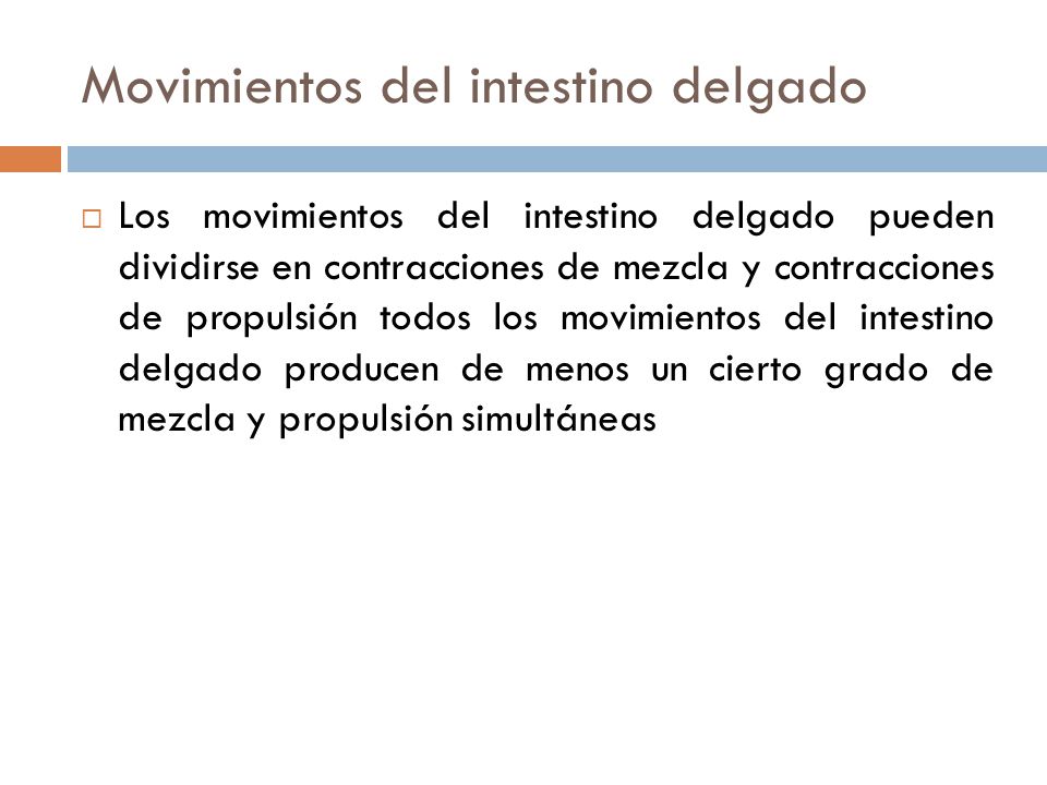 Movimientos del intestino delgado