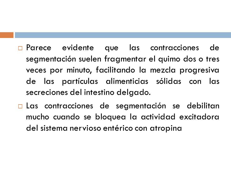 Parece evidente que las contracciones de segmentación suelen fragmentar el quimo dos o tres veces por minuto, facilitando la mezcla progresiva de las partículas alimenticias sólidas con las secreciones del intestino delgado.