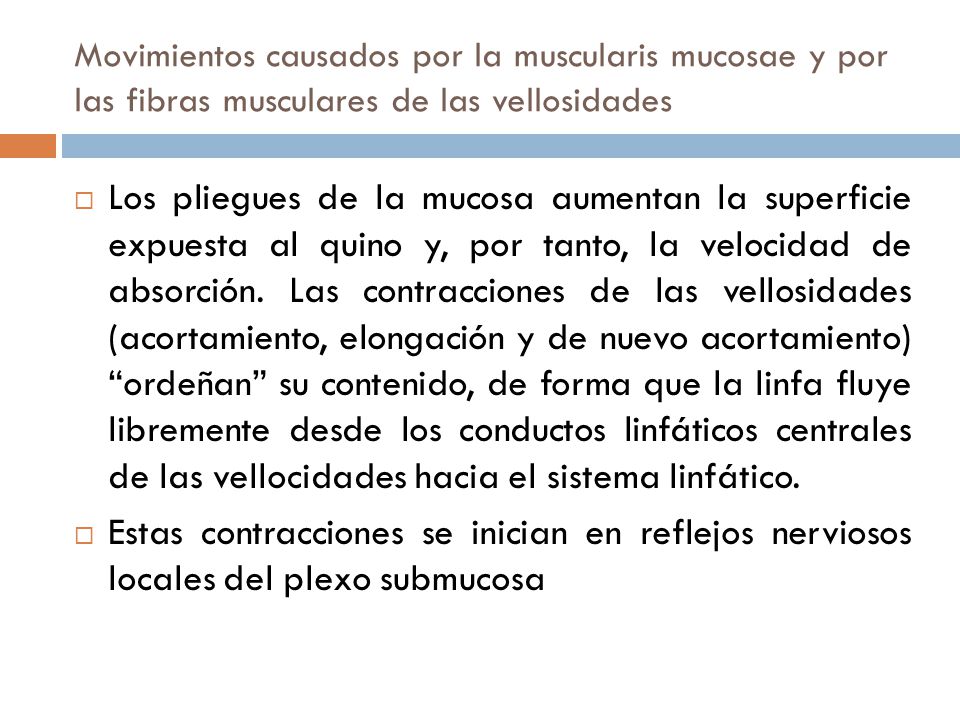 Movimientos causados por la muscularis mucosae y por las fibras musculares de las vellosidades