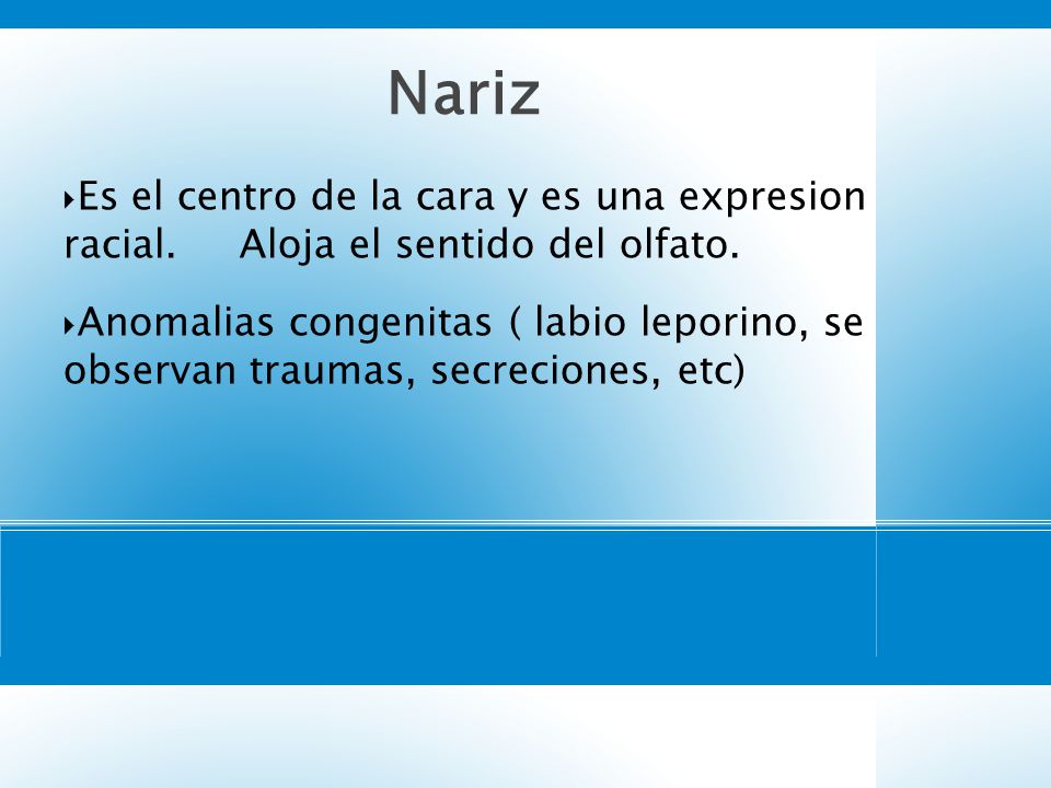 5757 Nariz. Es el centro de la cara y es una expresion racial. Aloja el sentido del olfato.