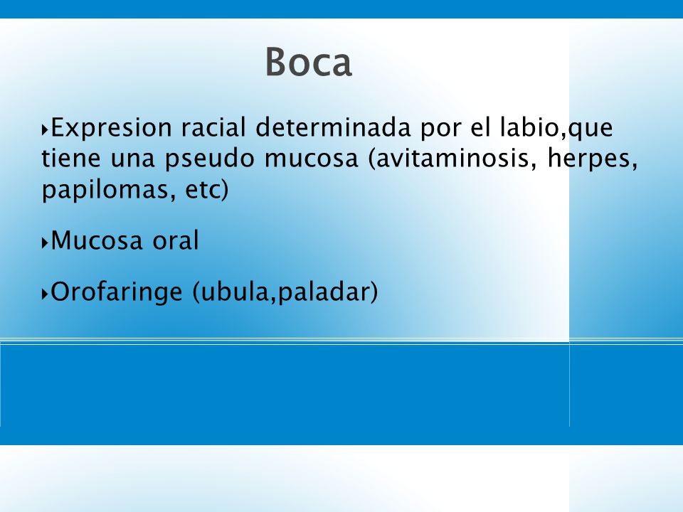 5858 Boca. Expresion racial determinada por el labio,que tiene una pseudo mucosa (avitaminosis, herpes, papilomas, etc)