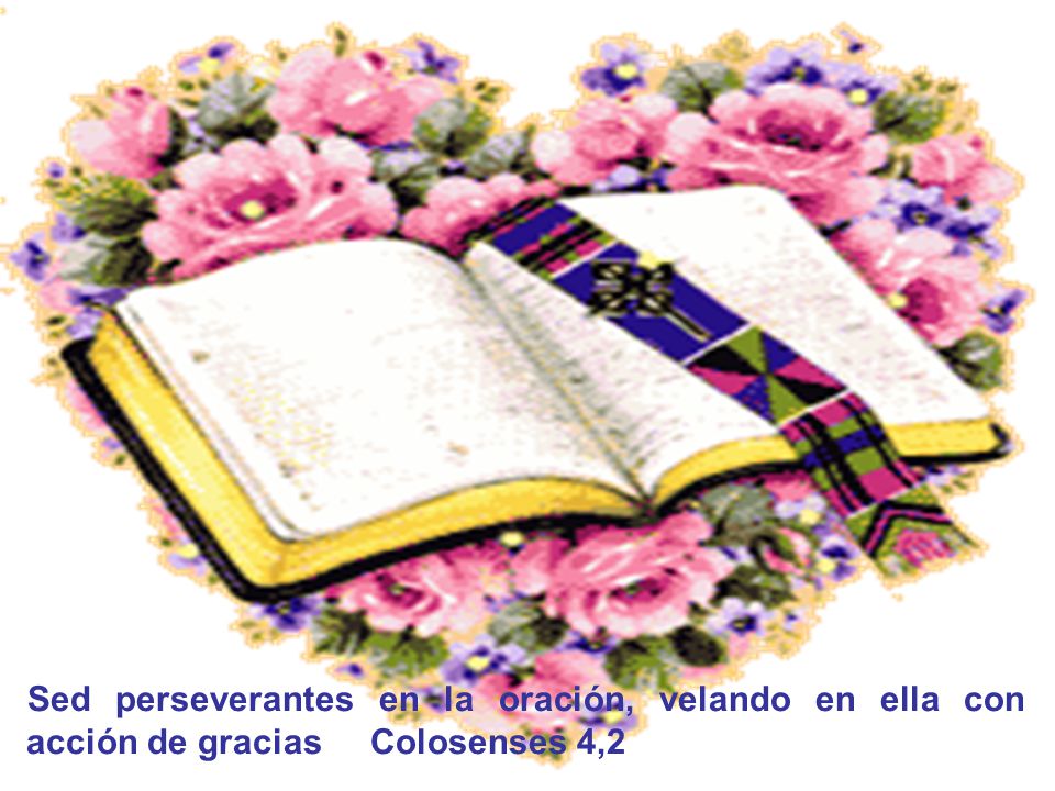 Sed perseverantes en la oración, velando en ella con acción de gracias Colosenses 4,2