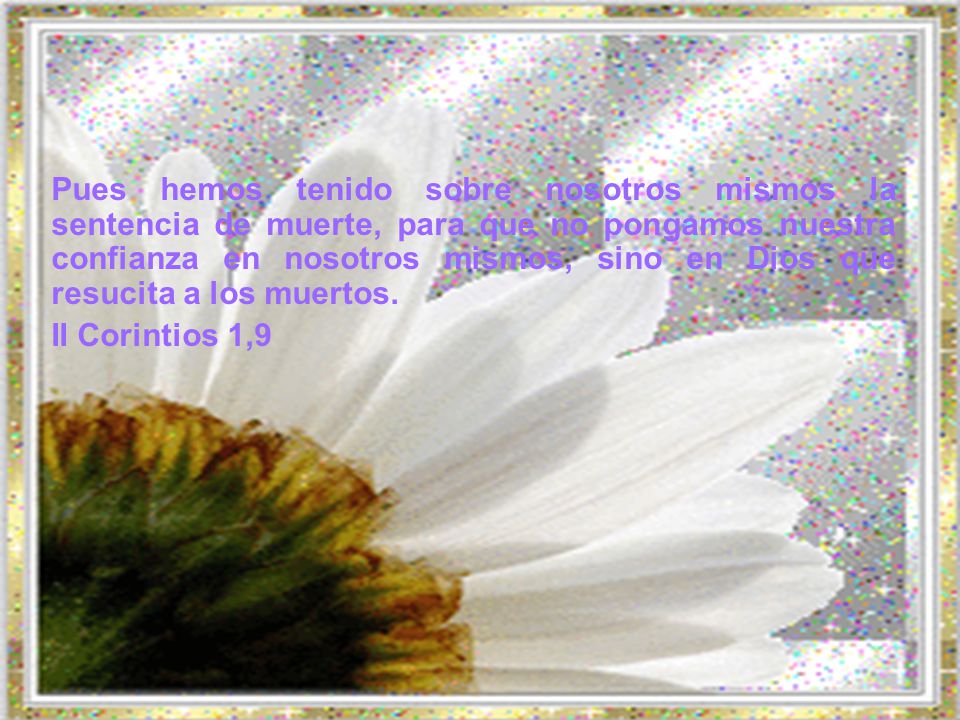 Pues hemos tenido sobre nosotros mismos la sentencia de muerte, para que no pongamos nuestra confianza en nosotros mismos, sino en Dios que resucita a los muertos.