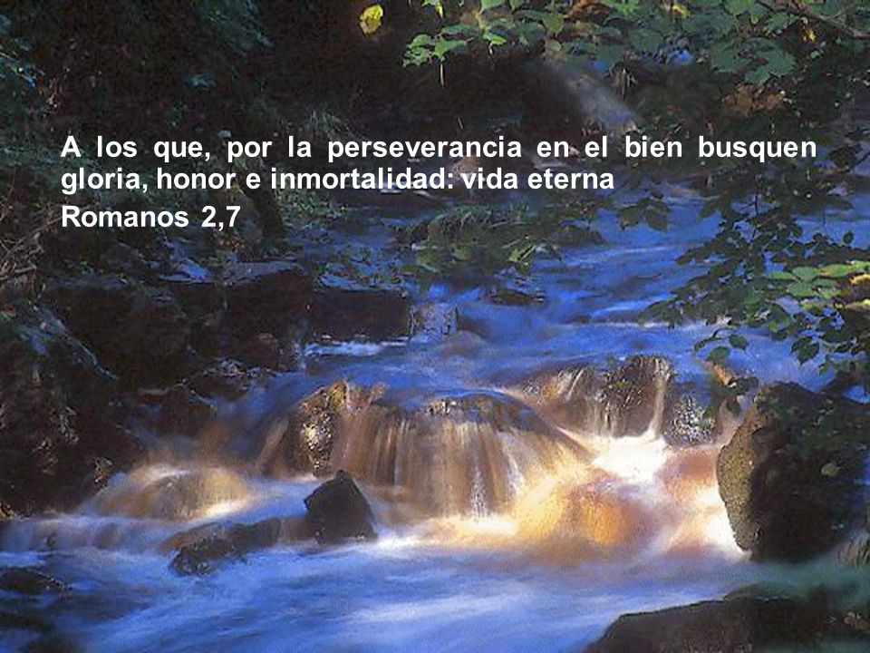 A los que, por la perseverancia en el bien busquen gloria, honor e inmortalidad: vida eterna