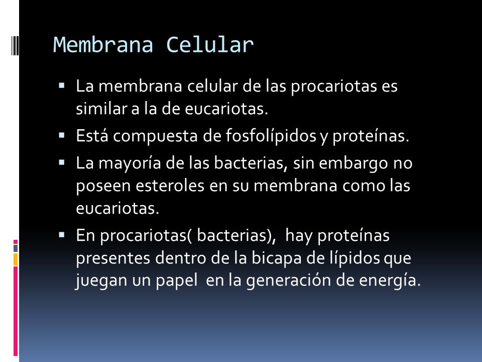 Membrana Celular La membrana celular de las procariotas es similar a la de eucariotas. Está compuesta de fosfolípidos y proteínas.