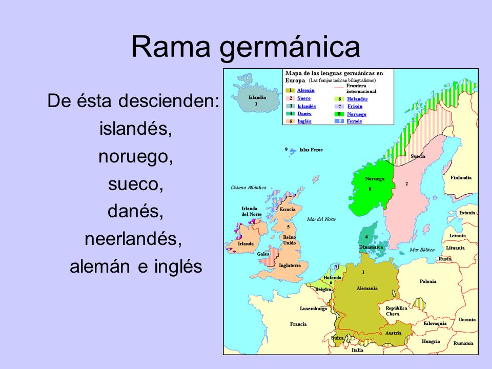 Rama germánica De ésta descienden: islandés, noruego, sueco, danés,
