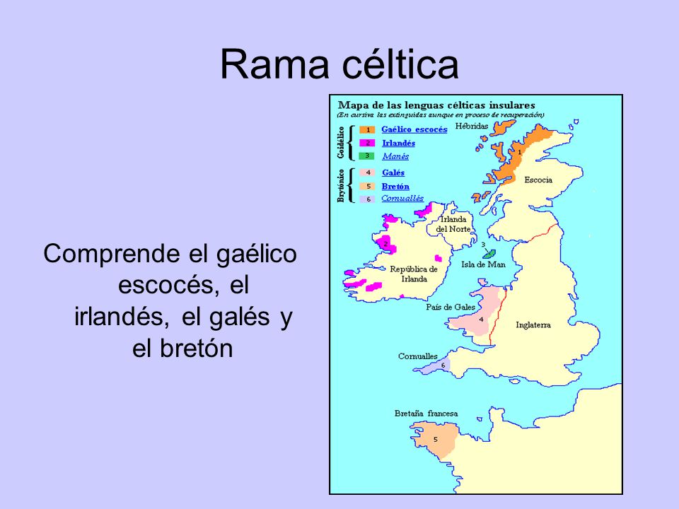 Comprende el gaélico escocés, el irlandés, el galés y el bretón