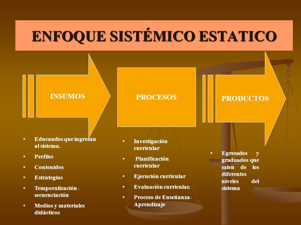 ENFOQUE SISTÉMICO ESTATICO