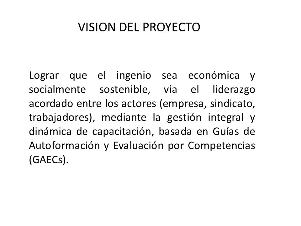 VISION DEL PROYECTO