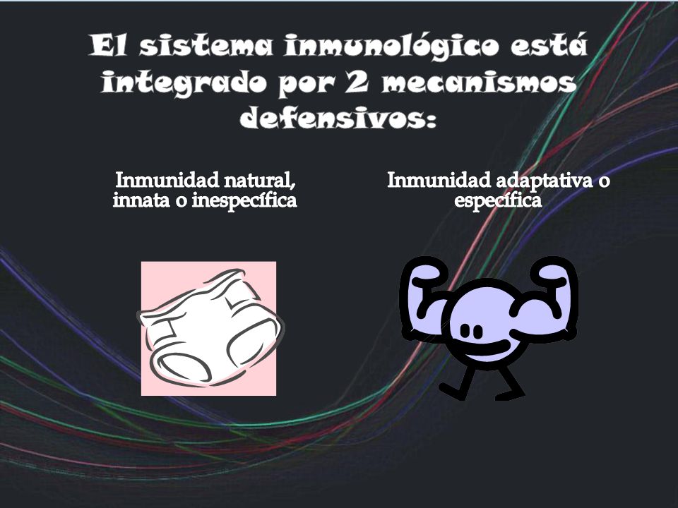 El sistema inmunológico está integrado por 2 mecanismos defensivos: