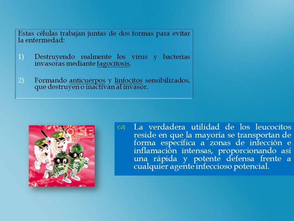 Estas células trabajan juntas de dos formas para evitar la enfermedad: