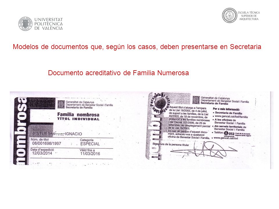 Modelos de documentos que, según los casos, deben presentarse en Secretaria