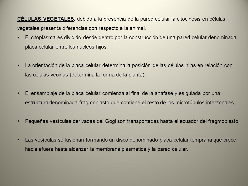 CÉLULAS VEGETALES: debido a la presencia de la pared celular la citocinesis en células vegetales presenta diferencias con respecto a la animal.