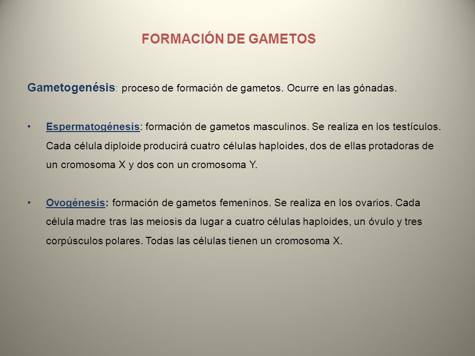 FORMACIÓN DE GAMETOS Gametogenésis: proceso de formación de gametos. Ocurre en las gónadas.