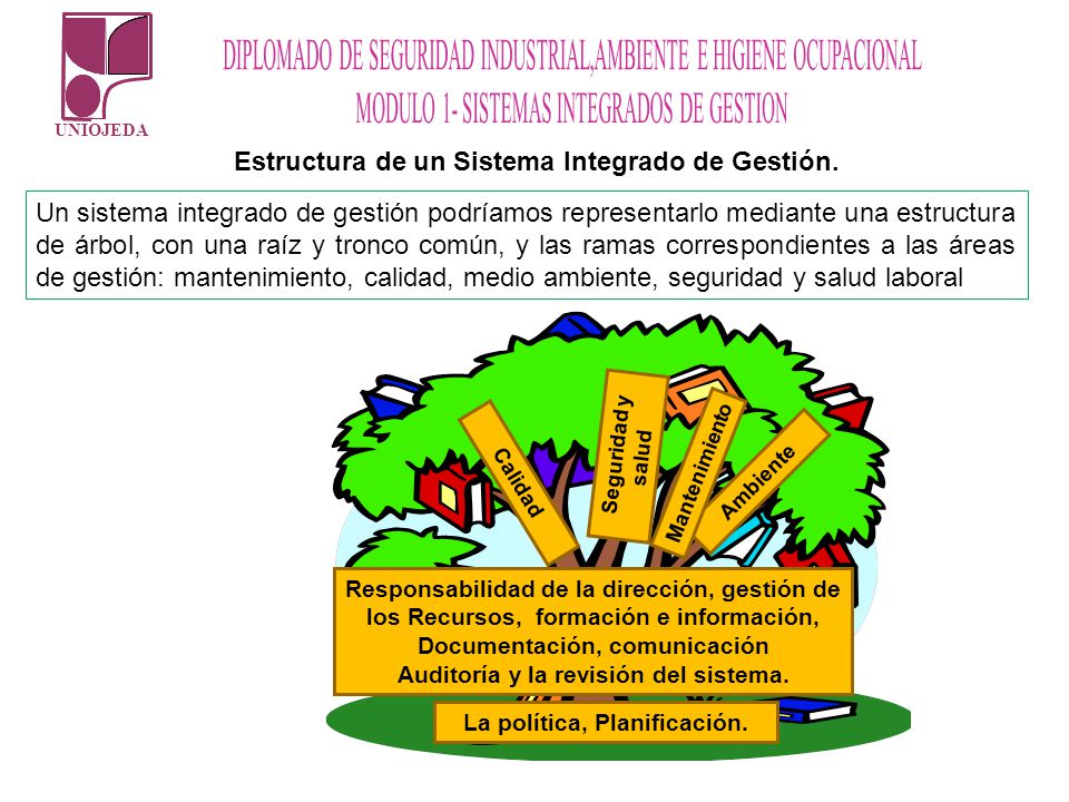Auditoría y la revisión del sistema. La política, Planificación.