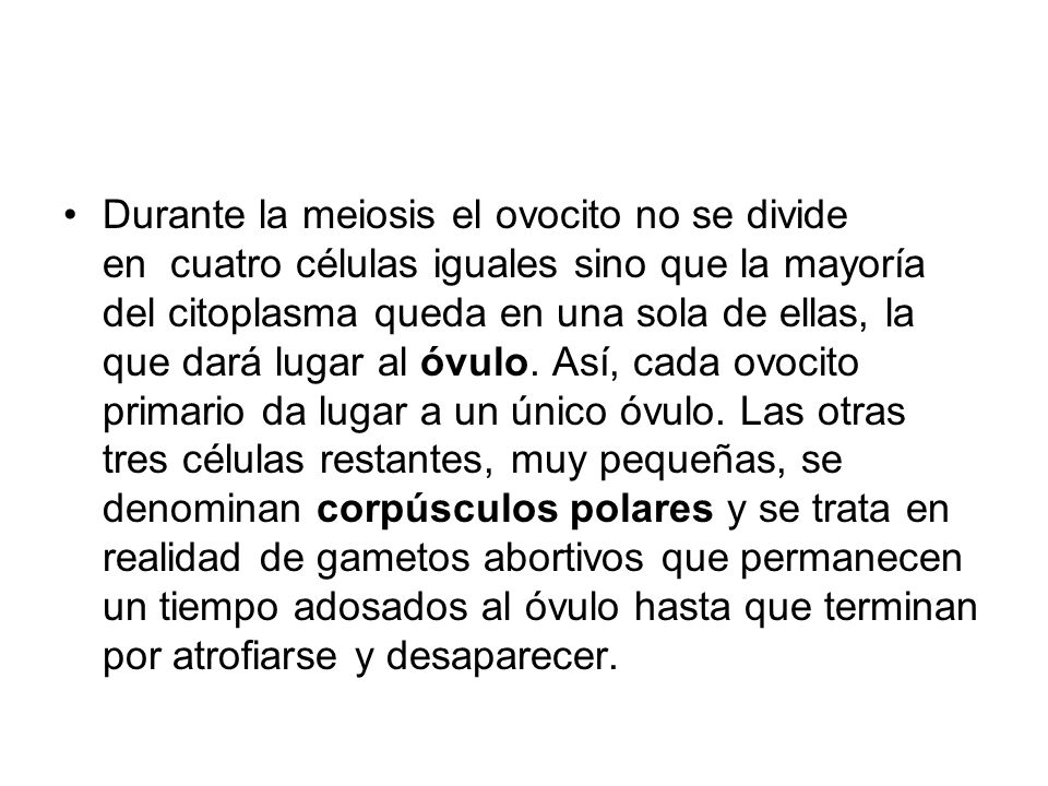 Durante la meiosis el ovocito no se divide en cuatro células iguales sino que la mayoría del citoplasma queda en una sola de ellas, la que dará lugar al óvulo.