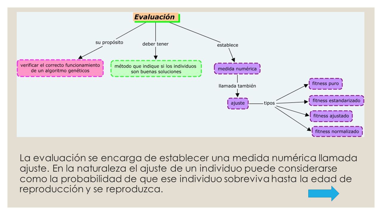 La evaluación se encarga de establecer una medida numérica llamada ajuste.