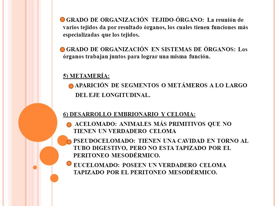 GRADO DE ORGANIZACIÓN TEJIDO-ÓRGANO: La reunión de varios tejidos da por resultado órganos, los cuales tienen funciones más especializadas que los tejidos. GRADO DE ORGANIZACIÓN EN SISTEMAS DE ÓRGANOS: Los órganos trabajan juntos para lograr una misma función.