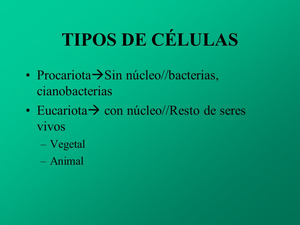 TIPOS DE CÉLULAS ProcariotaSin núcleo//bacterias, cianobacterias
