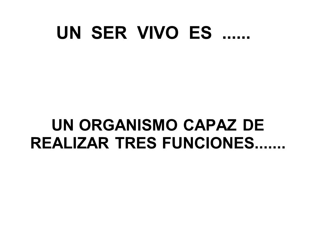 UN ORGANISMO CAPAZ DE REALIZAR TRES FUNCIONES
