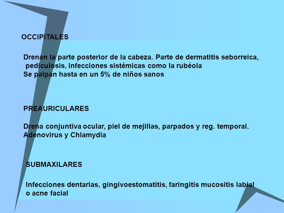 OCCIPITALES Drenan la parte posterior de la cabeza. Parte de dermatitis seborreica, pediculosis, infecciones sistémicas como la rubéola.