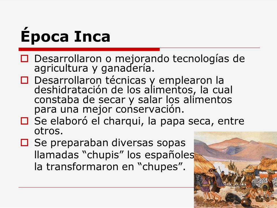Época Inca Desarrollaron o mejorando tecnologías de agricultura y ganadería.
