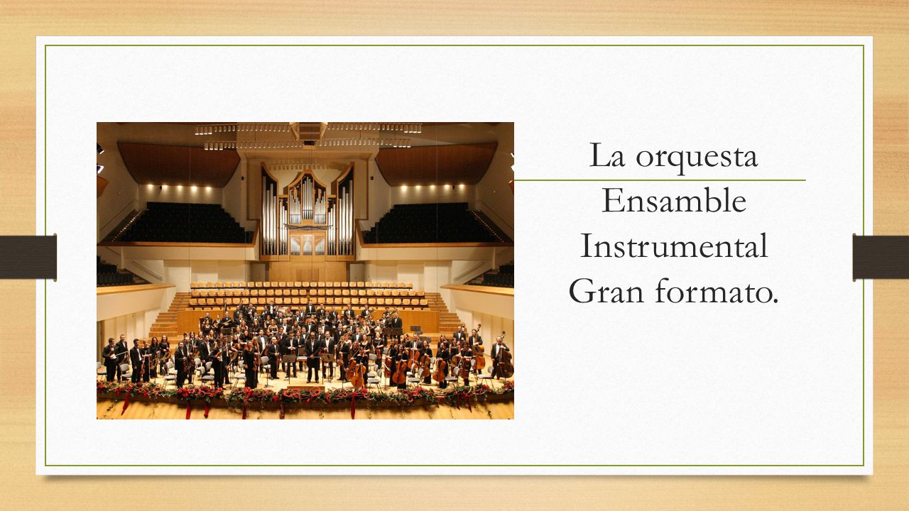 La orquesta Ensamble Instrumental Gran formato.