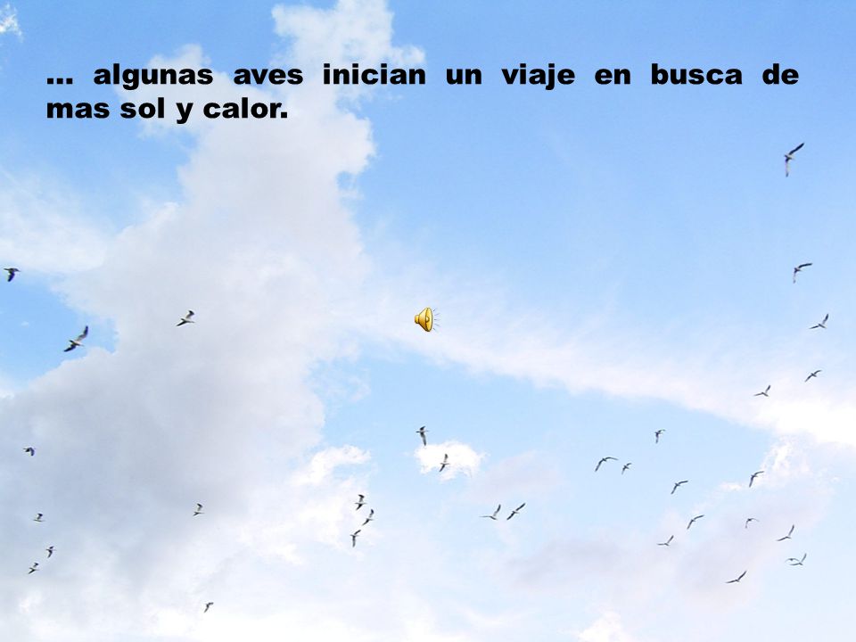 … algunas aves inician un viaje en busca de mas sol y calor.