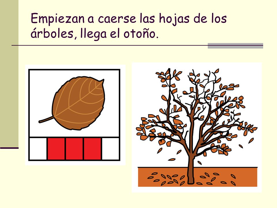 Empiezan a caerse las hojas de los árboles, llega el otoño.