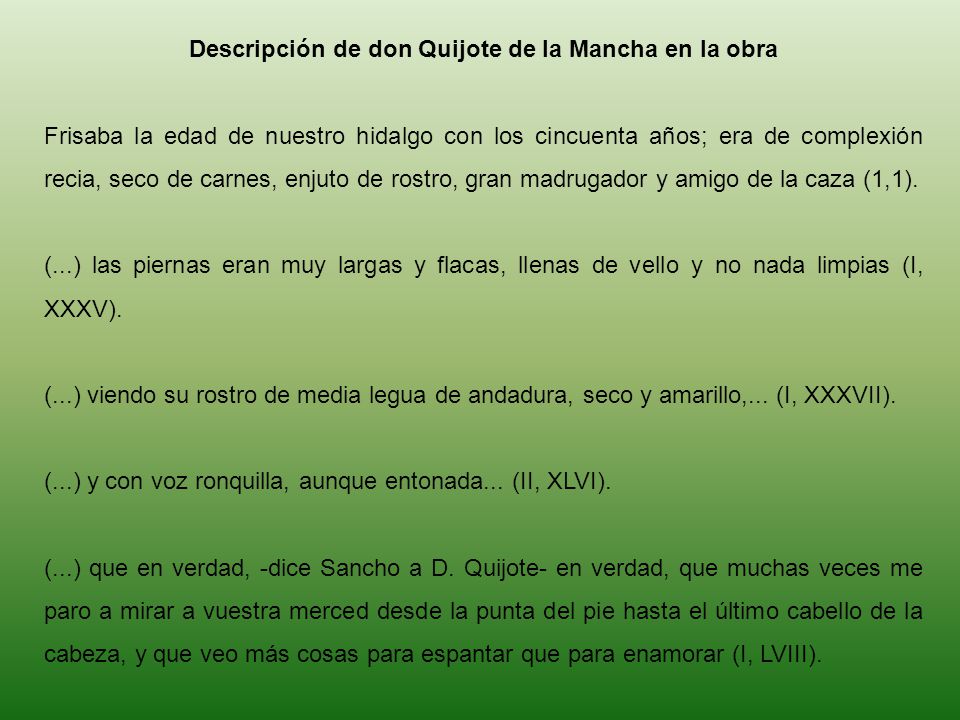 Descripción de don Quijote de la Mancha en la obra