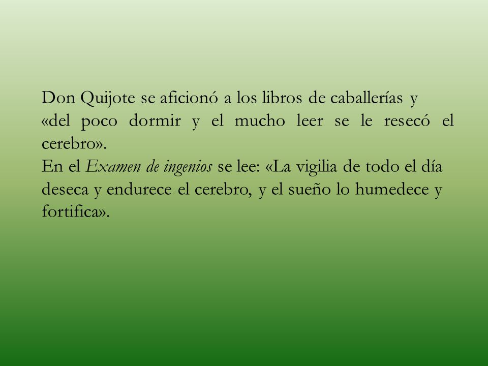 Don Quijote se aficionó a los libros de caballerías y