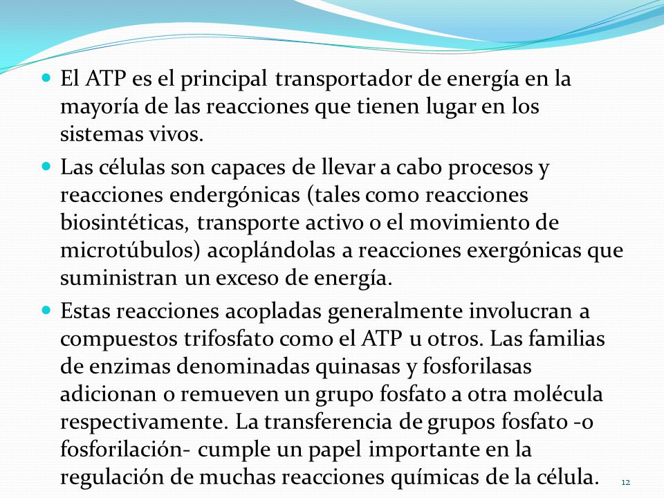 El ATP es el principal transportador de energía en la mayoría de las reacciones que tienen lugar en los sistemas vivos.