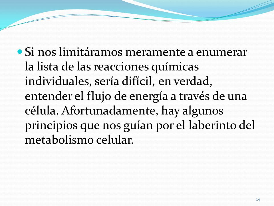 Si nos limitáramos meramente a enumerar la lista de las reacciones químicas individuales, sería difícil, en verdad, entender el flujo de energía a través de una célula.