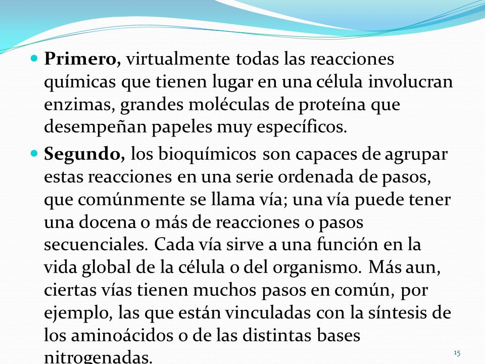 Primero, virtualmente todas las reacciones químicas que tienen lugar en una célula involucran enzimas, grandes moléculas de proteína que desempeñan papeles muy específicos.