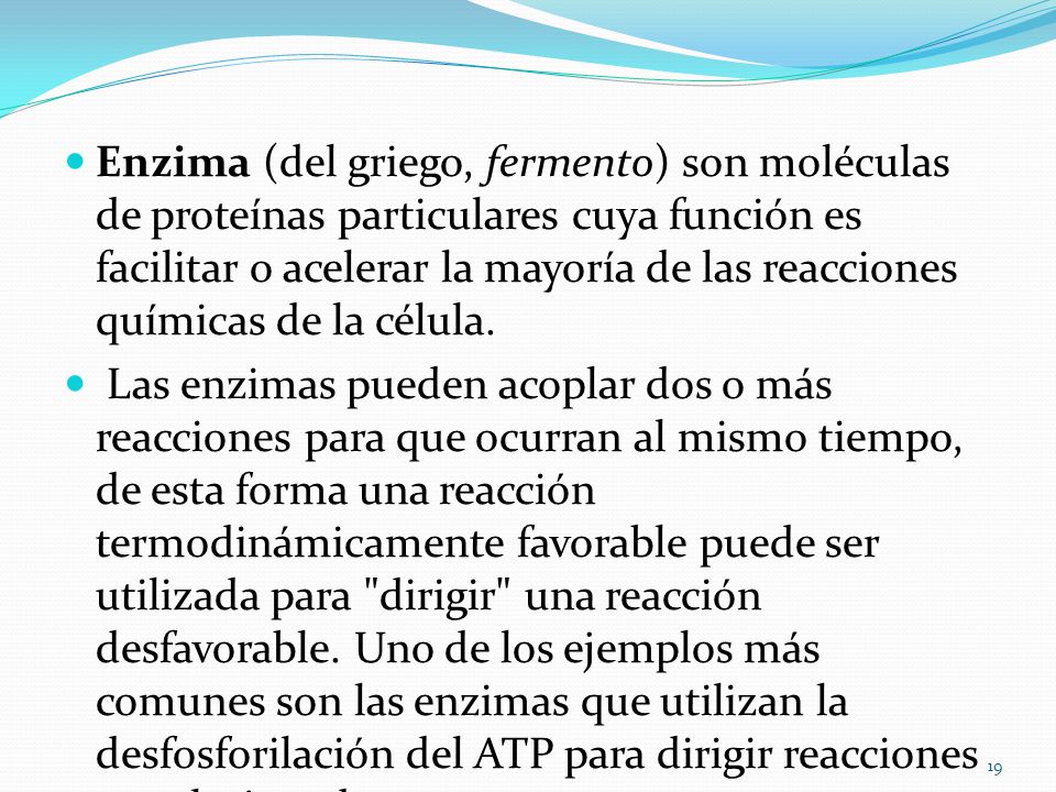 Enzima (del griego, fermento) son moléculas de proteínas particulares cuya función es facilitar o acelerar la mayoría de las reacciones químicas de la célula.