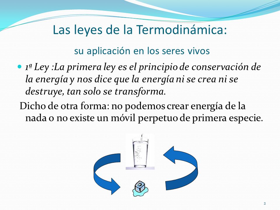 Las leyes de la Termodinámica: su aplicación en los seres vivos