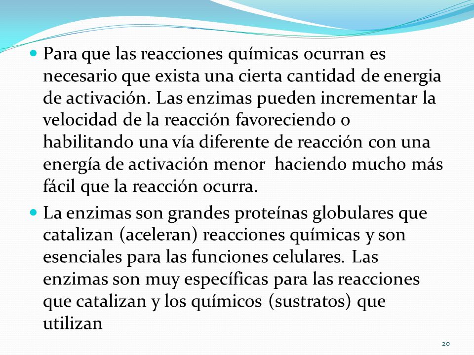 Para que las reacciones químicas ocurran es necesario que exista una cierta cantidad de energia de activación. Las enzimas pueden incrementar la velocidad de la reacción favoreciendo o habilitando una vía diferente de reacción con una energía de activación menor haciendo mucho más fácil que la reacción ocurra.