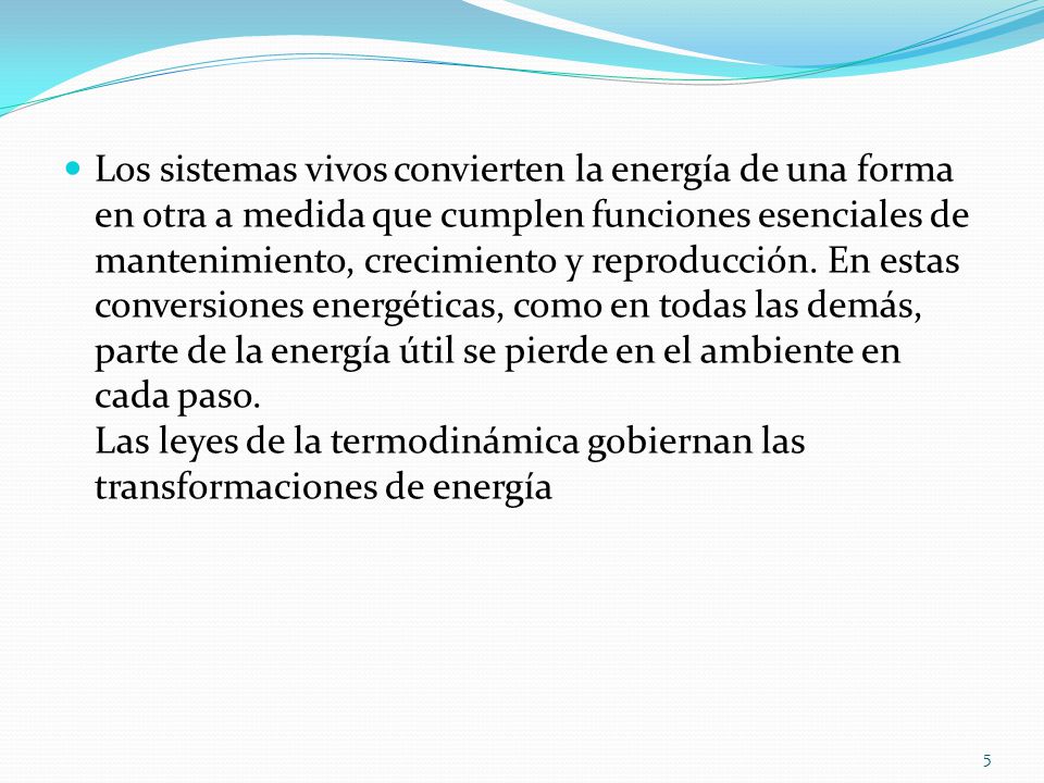 Los sistemas vivos convierten la energía de una forma en otra a medida que cumplen funciones esenciales de mantenimiento, crecimiento y reproducción.