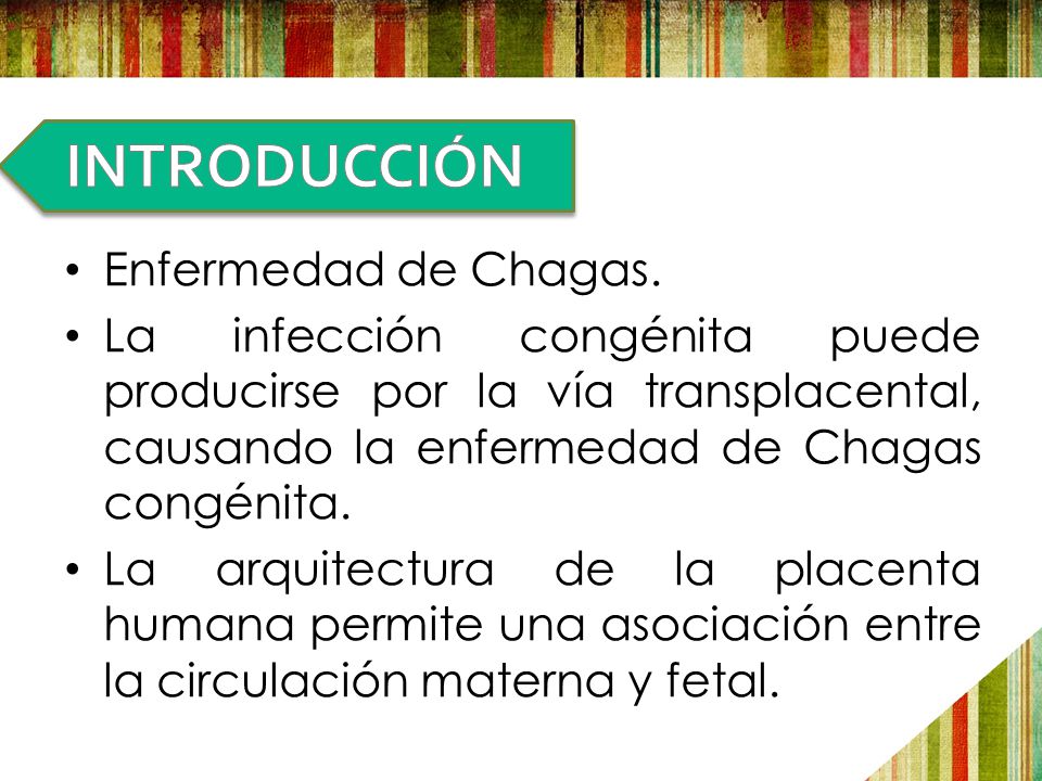 INTRODUCCIÓN Enfermedad de Chagas.