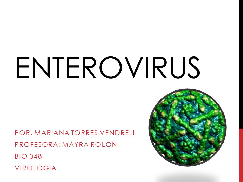 Por: Mariana Torres Vendrell Profesora: Mayra rolon Bio 348 Virologia